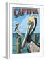 Captiva, Florida - Brown Pelican-Lantern Press-Framed Art Print