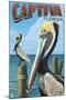 Captiva, Florida - Brown Pelican-Lantern Press-Mounted Art Print
