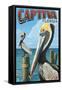 Captiva, Florida - Brown Pelican-Lantern Press-Framed Stretched Canvas