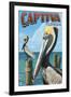 Captiva, Florida - Brown Pelican-Lantern Press-Framed Art Print