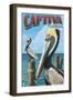Captiva, Florida - Brown Pelican-Lantern Press-Framed Art Print