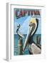 Captiva, Florida - Brown Pelican-Lantern Press-Framed Art Print