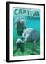 Captiva, Florida - Manatees-Lantern Press-Framed Art Print