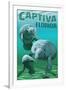 Captiva, Florida - Manatees-Lantern Press-Framed Art Print