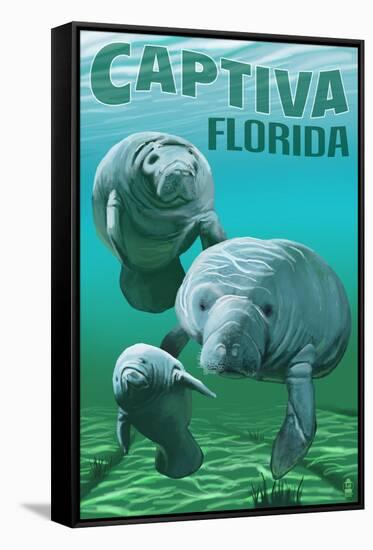 Captiva, Florida - Manatees-Lantern Press-Framed Stretched Canvas