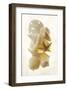 Captiva-Glen and Gayle Wans-Framed Giclee Print