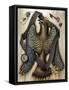 Captivate-Jason Limon-Framed Stretched Canvas