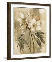 Captive Beauty I-Carney-Framed Giclee Print