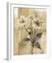 Captive Beauty II-Carney-Framed Giclee Print