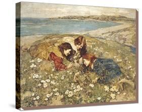 Captive Butterfly-Edward Atkinson Hornel-Stretched Canvas