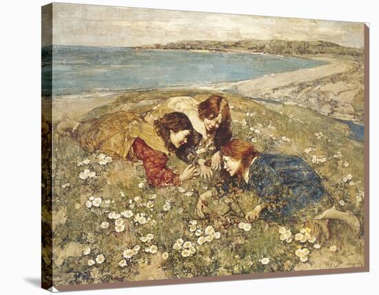 Captive Butterfly-Edward Atkinson Hornel-Stretched Canvas