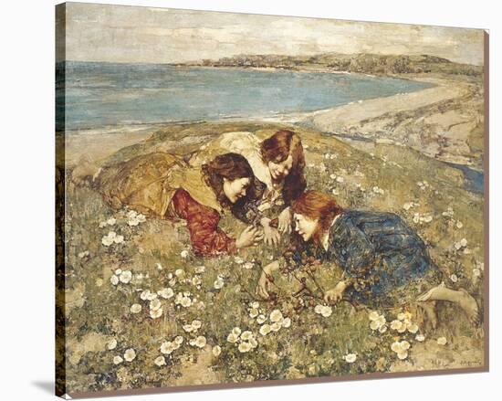 Captive Butterfly-Edward Atkinson Hornel-Stretched Canvas