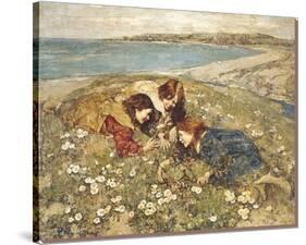 Captive Butterfly-Edward Atkinson Hornel-Stretched Canvas