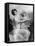 Captive Cupid, 1899-Theodore Blake Wirgman-Framed Stretched Canvas