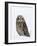 Captive Short-Eared Owl (Asio Flammeus) in the Snow, Boulder County, Colorado-James Hager-Framed Photographic Print