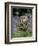 Captive Tawny Owl (Strix Aluco) in Bluebells, United Kingdom-Steve & Ann Toon-Framed Photographic Print