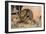 Capture and Taming of Wild Elephant-null-Framed Giclee Print