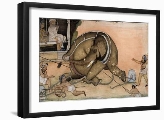 Capture and Taming of Wild Elephant-null-Framed Giclee Print