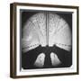 Capture German Lenses-Andreas Feininger-Framed Photographic Print