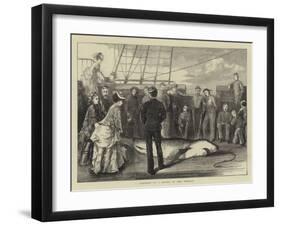 Capture of a Shark in the Tropics-null-Framed Giclee Print