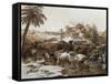 Capture of Island of Grenada by Admiral Charles Hector D'Estaing-null-Framed Stretched Canvas