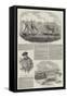 Capture of Magellan Pirates by HMS Virago-null-Framed Stretched Canvas