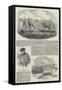 Capture of Magellan Pirates by HMS Virago-null-Framed Stretched Canvas