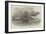 Capture of Port Truxillo, Honduras, by Her Majesty's Steamer Plumper-null-Framed Giclee Print