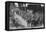 Captured French Soldiers, the Somme, France, World War I, 1917-null-Framed Stretched Canvas