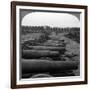 Captured German Guns, Brussels, Belgium, World War I, 1914-1918-null-Framed Photographic Print