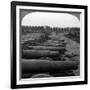 Captured German Guns, Brussels, Belgium, World War I, 1914-1918-null-Framed Photographic Print