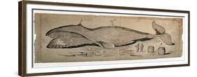Captured Whale-null-Framed Giclee Print