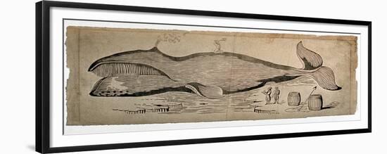 Captured Whale-null-Framed Giclee Print