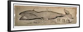 Captured Whale-null-Framed Giclee Print