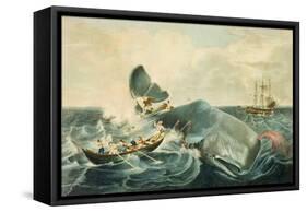 Capturing a Sperm Whale, Engraved by J. Hill, Published 1835-William Page-Framed Stretched Canvas