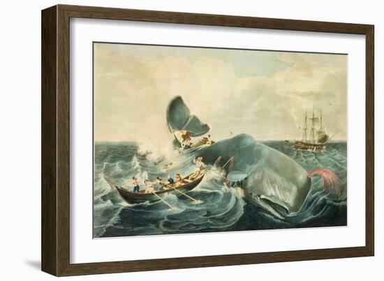 Capturing a Sperm Whale, Engraved by J. Hill, Published 1835-William Page-Framed Giclee Print