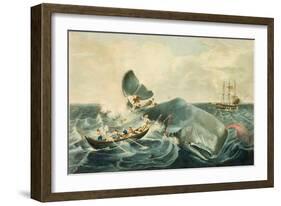 Capturing a Sperm Whale, Engraved by J. Hill, Published 1835-William Page-Framed Giclee Print