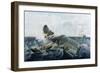 Capturing a Sperm Whale-William Page-Framed Giclee Print