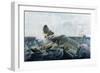 Capturing a Sperm Whale-William Page-Framed Giclee Print