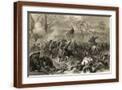 Brown Frame