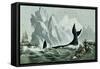 Capturing the Whale-Currier & Ives-Framed Stretched Canvas