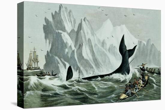 Capturing the Whale-Currier & Ives-Stretched Canvas