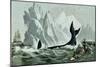 Capturing the Whale-Currier & Ives-Mounted Giclee Print