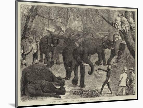 Capturing Wild Elephants in South Eastern Mysore, India-Alfred Chantrey Corbould-Mounted Giclee Print