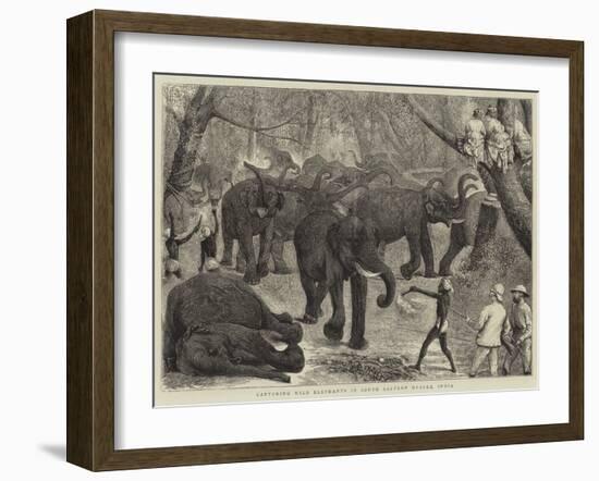 Capturing Wild Elephants in South Eastern Mysore, India-Alfred Chantrey Corbould-Framed Giclee Print