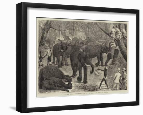 Capturing Wild Elephants in South Eastern Mysore, India-Alfred Chantrey Corbould-Framed Giclee Print