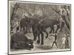 Capturing Wild Elephants in South Eastern Mysore, India-Alfred Chantrey Corbould-Mounted Giclee Print