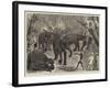 Capturing Wild Elephants in South Eastern Mysore, India-Alfred Chantrey Corbould-Framed Giclee Print