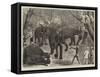 Capturing Wild Elephants in South Eastern Mysore, India-Alfred Chantrey Corbould-Framed Stretched Canvas