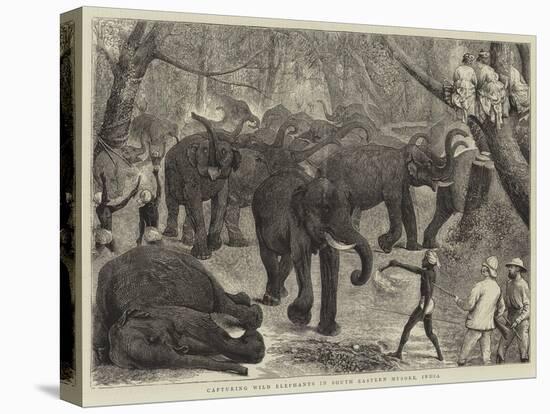 Capturing Wild Elephants in South Eastern Mysore, India-Alfred Chantrey Corbould-Stretched Canvas